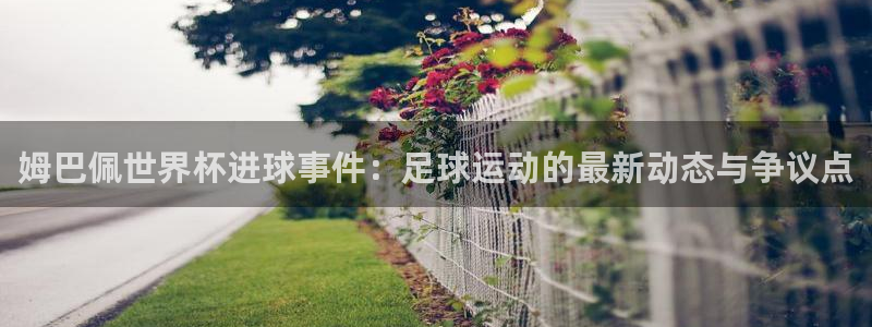 中國 世界杯：姆巴佩世界杯進球事件：足球運動的最新動態(tài)與爭議點