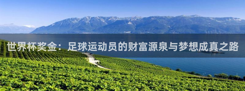 世界杯 2026：世界杯獎金：足球運動員的財富源泉與夢想成真之路