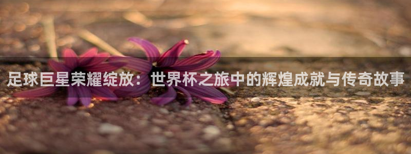 世界杯2026比賽時間表：足球巨星榮耀綻放：世界杯之旅中的輝煌成就與傳奇故事